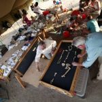 Your Inner Fish: Your Inner Monkey