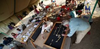 Your Inner Fish: Your Inner Monkey