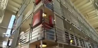 Gangland: Mexican Mafia