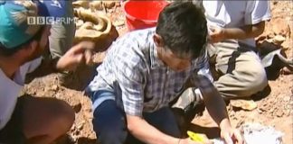 The Mystery of the Jurassic