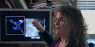 Swallowed by a Black Hole