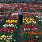 The Botany of Desire