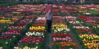 The Botany of Desire