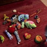 The Secret Life of the Dog