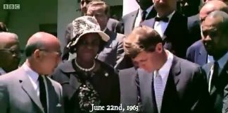 Martin Luther King and the March on Washington