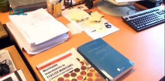 Born at the Burnt Land