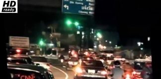 Dispatches: Undercover in the Secret State