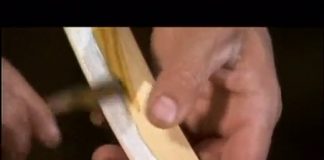 Warrior Empire: The Mughals