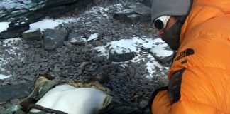 The Wildest Dream – Conquest of Everest