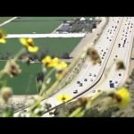 This (Illegal) American Life