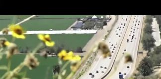 This (Illegal) American Life