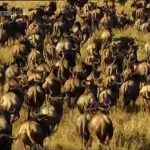 The Secret Life of Chaos