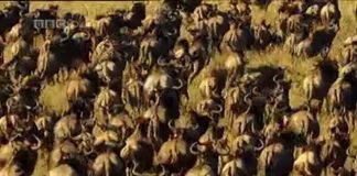 The Secret Life of Chaos