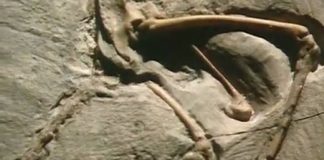 Lost Worlds, Vanished Lives