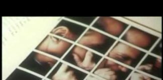 The Prime Minister and the Press