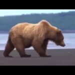 What Plants Talk About