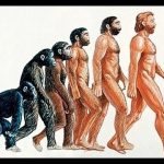 Search for the First Human (Sahelanthropus Tchadensis)