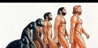 Search for the First Human (Sahelanthropus Tchadensis)