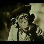 The Fundamentalists: Religion or Lunacy (part 2 of 3)