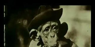 The Fundamentalists: Religion or Lunacy (part 2 of 3)