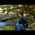 An Experiment to Save the World: Nuclear Fusion