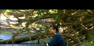 An Experiment to Save the World: Nuclear Fusion