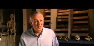 The Ape That Took Over The World