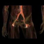 Human Body: Pushing The Limits