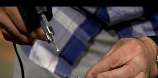 Wired Science – Health – Bio Banking