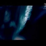 Queen Elizabeth’s Magician