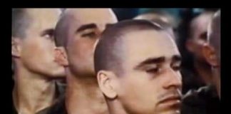 Captive Minds: Hypnosis and Beyond