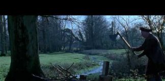 Martin Luther: Reluctant Revolutionary