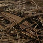 Scientific American Frontiers – The Secret Canyon