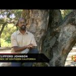 The Universe: UFO – The Real Deal