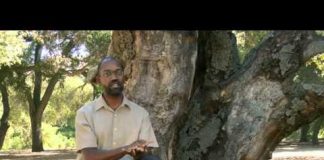 The Universe: UFO – The Real Deal