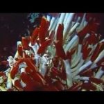 Jupiter: The Giant Planet