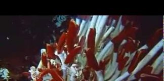 Jupiter: The Giant Planet