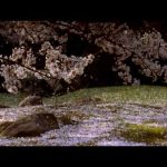 The Way of the Samurai