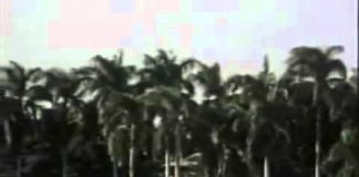 Sacrifice at Pearl Harbor