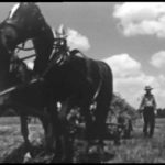 The Incredible Bread Machine Film