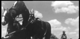 The Incredible Bread Machine Film