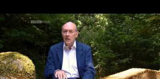 High Anxieties: The Mathematics of Chaos