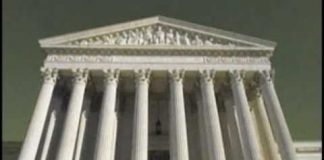 America: Freedom to Fascism