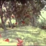 In Search of the Trojan War – The Age of the Heroes