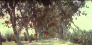 In Search of the Trojan War – The Age of the Heroes