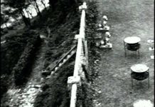 Bruce Lee: In His Own Words