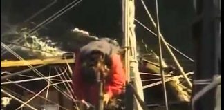 The Great Ships: Pirate Ships