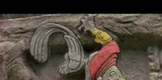 Lost King of the Maya