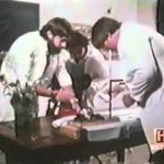 In Search Of The Human Aura