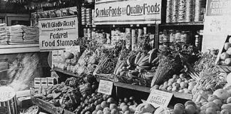 Stories from the Great Depression